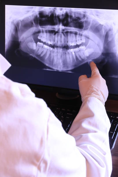 Best Emergency X-Rays and Diagnostics in Warwick, RI